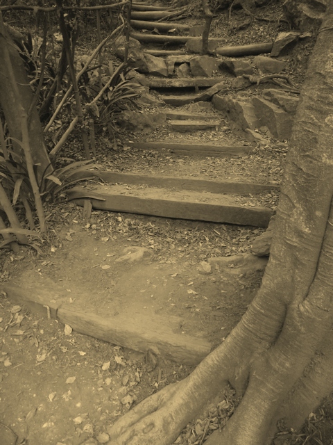 A path to one of the hiking trails
