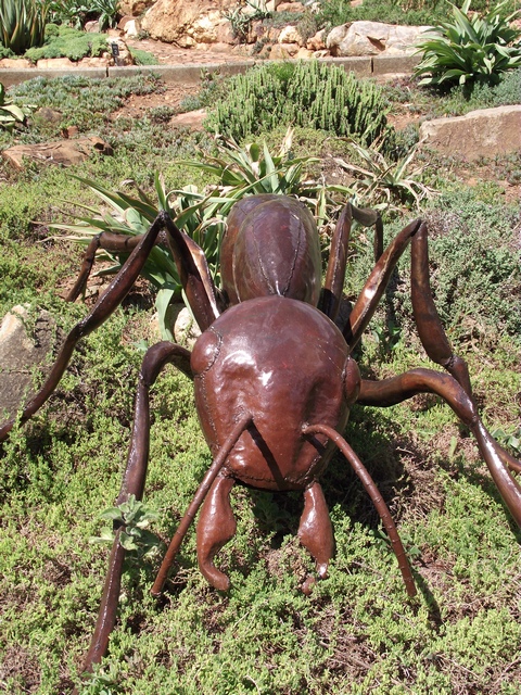 All the big bugs are cleverly crafted from recycled scrap metal