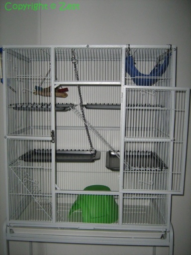 Our first cage