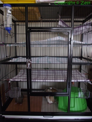 Our second cage