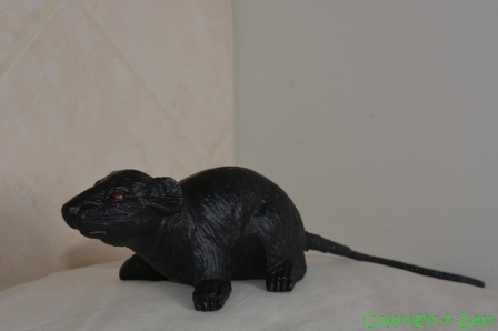 painted rat toy 1