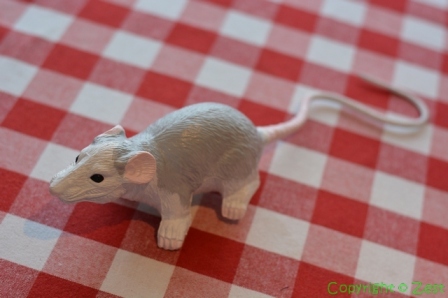 painted rat toy 4