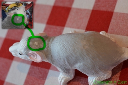 painted rat toy 6